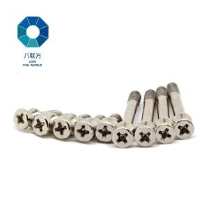 پیتل کی قسم مواد Drilled سر سگ ماہی سکرو